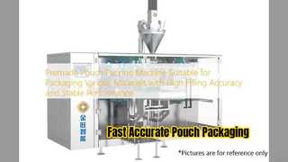 Machine d'emballage automatique de sachets préfabriqués DGD 180BJ
