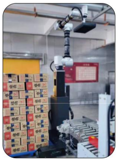 Il s'agit d'une solution de palletisation intelligente et flexible pour plusieurs scénarios.