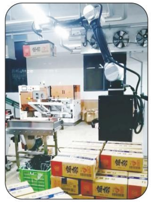 Il s'agit d'une solution de palletisation intelligente et flexible pour plusieurs scénarios.