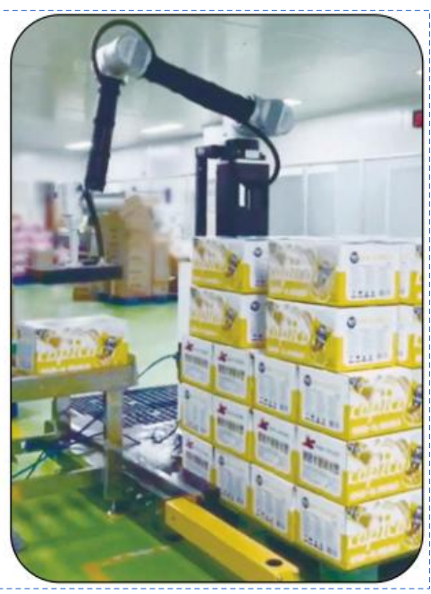 Il s'agit d'une solution de palletisation intelligente et flexible pour plusieurs scénarios.